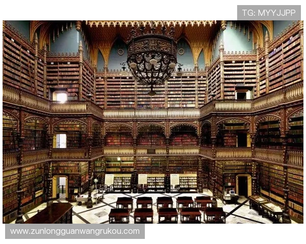 用户对D88尊龙网站的反馈与改进建议分析